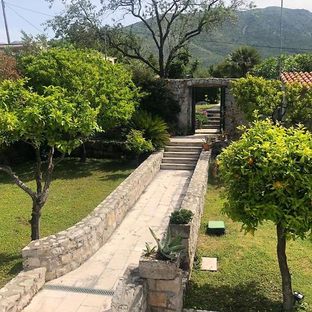 Charming Apartment For 3 Pax In Cavtat Buitenkant foto