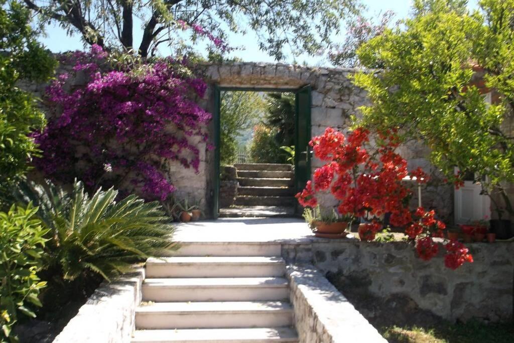 Charming Apartment For 3 Pax In Cavtat Buitenkant foto