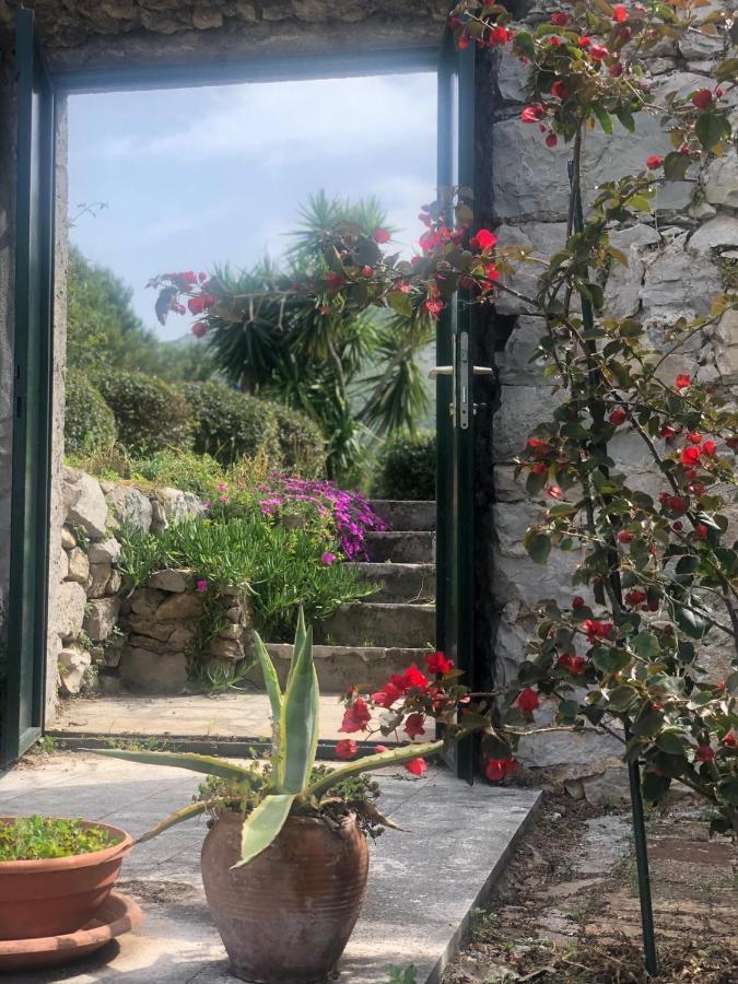 Charming Apartment For 3 Pax In Cavtat Buitenkant foto